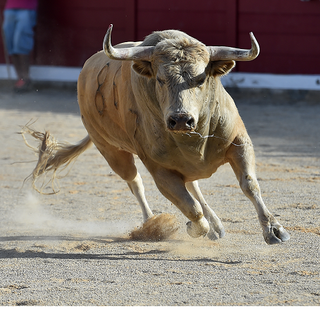 Fed Skips, Bull Runs WildBut Is the Market Ignoring The Fed’s Message ...