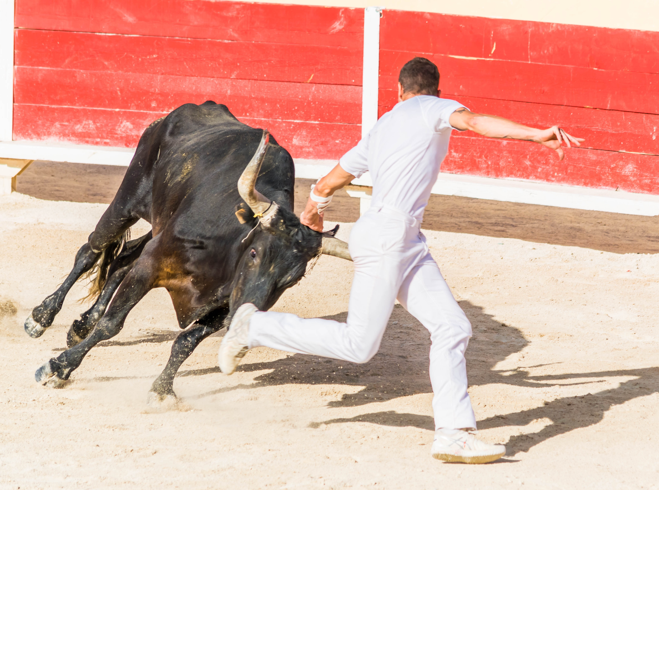 Can The Bull Market Keep on Kicking? Or Is It Growing Tired?The Answer ...